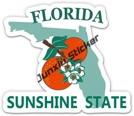 Yaratıcı Florida bayrağı Stick - Laptop Accessories Logo incelemesi ve fiyatı